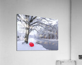 Oak tree and umbrella Acrylic Print