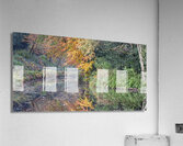 Autumnal Palette Acrylic Print