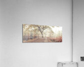 Misty forest Acrylic Print