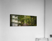 Journey through Forest Acrylic Print