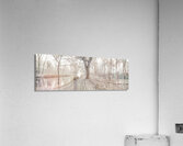 Misty Forest Acrylic Print
