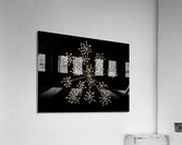 Cow Parsley Acrylic Print