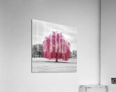 Red Tree Acrylic Print