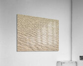 Shallow Waters Acrylic Print