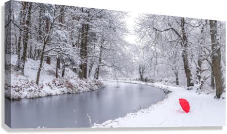 Snowy Canal Canvas Print