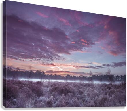 Meadow under cloudscape Canvas Print