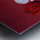 Tulips in a row Metal print