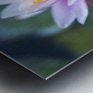 Gentle Grace Metal print