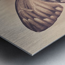 Butterfly Metal print