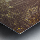 Forest Walkway Metal print