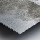 White Winter Metal print