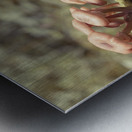 Mushrooms Metal print