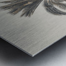 Palm Tree Metal print