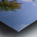 Tropical Palms Evening Metal print