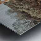 Graceful Wanderer Metal print