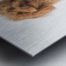 This is for you Metal print