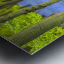 Bicycle in spring forest Metal print