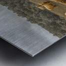 Highland Cows Metal print