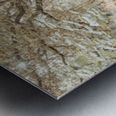 Canal through a forest Metal print