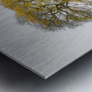 Tree on a hill, yellow, gold Metal print