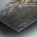 Green park gate Metal print