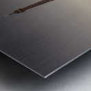 Eiffel Tower Metal print