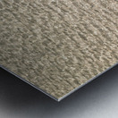 Shallow Waters Metal print