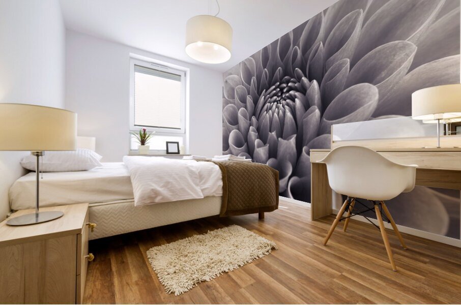 Dahlia Flower Mural print