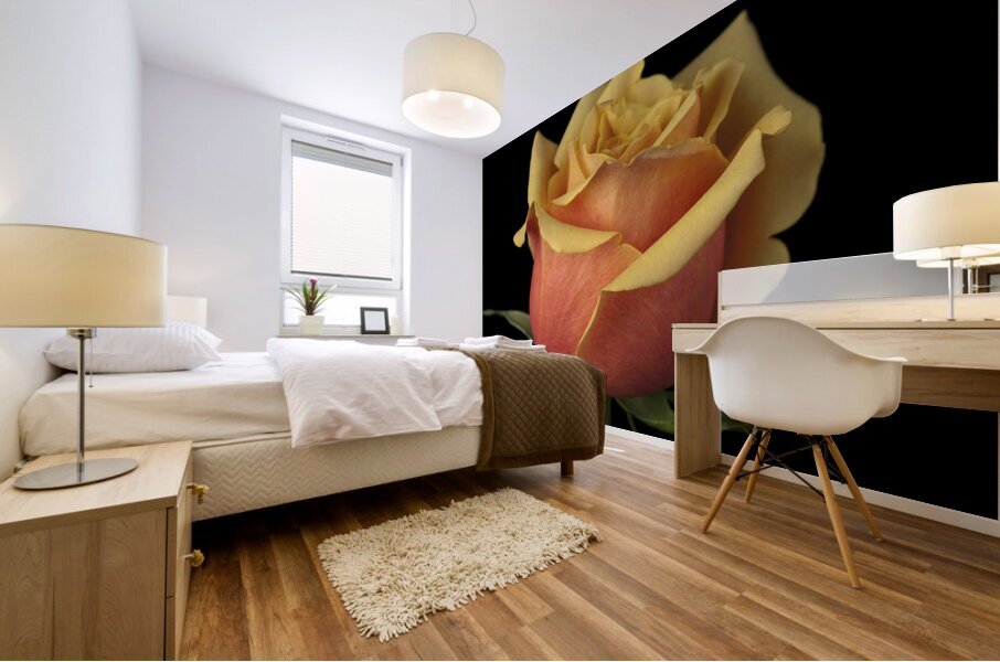 Romantic Rose Mural print