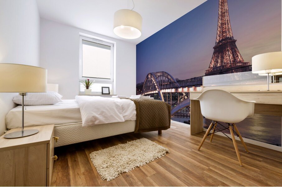 Paris Cityscape Mural print