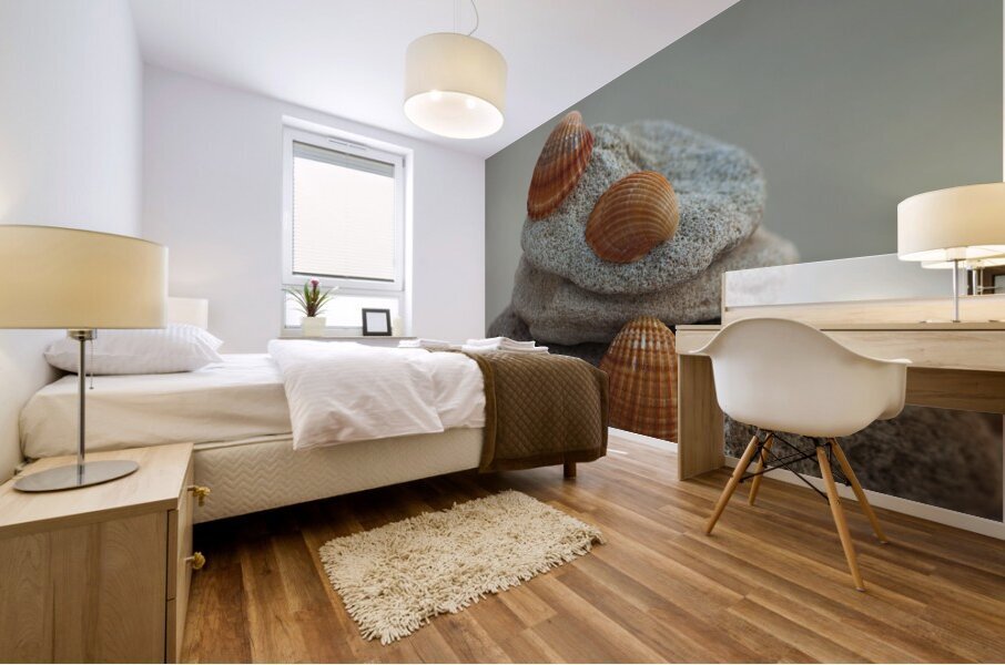 Sea shells on pebbles Mural print