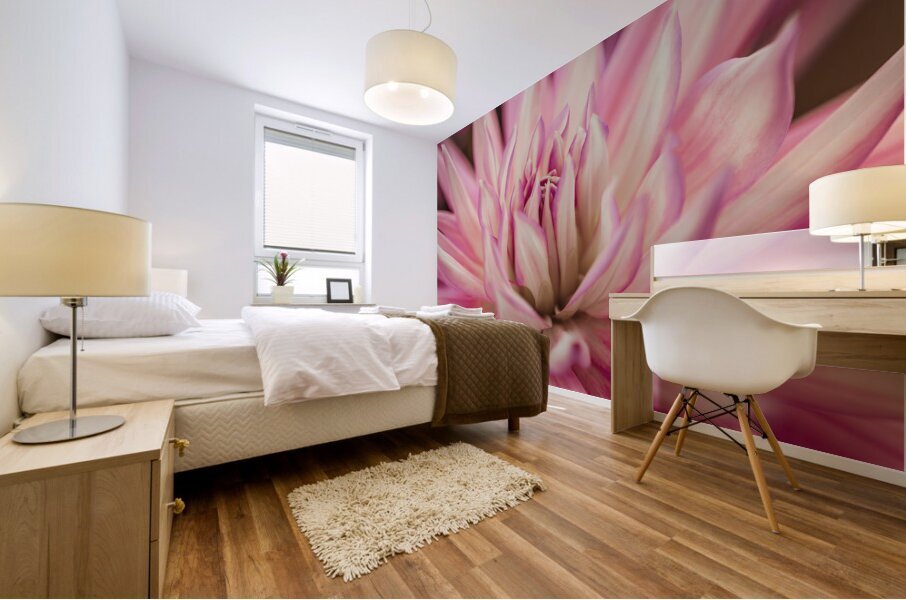 Radiant Dahlia Mural print