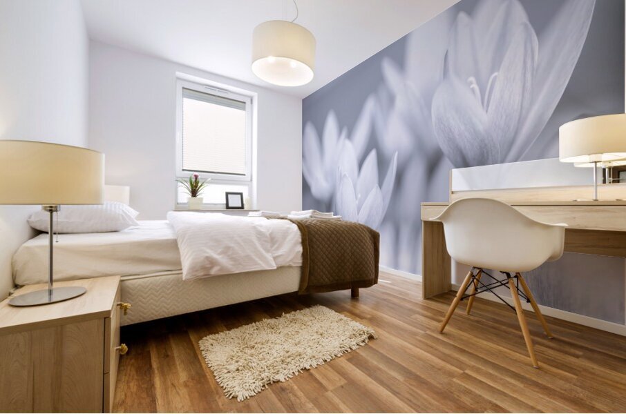 Crocus Blooms Mural print