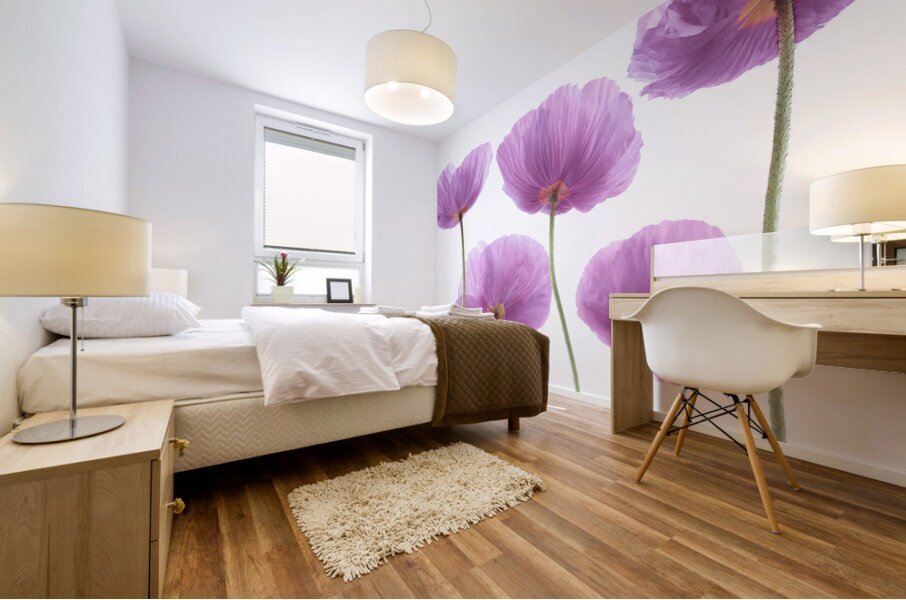 Fresh Poppies Mural print