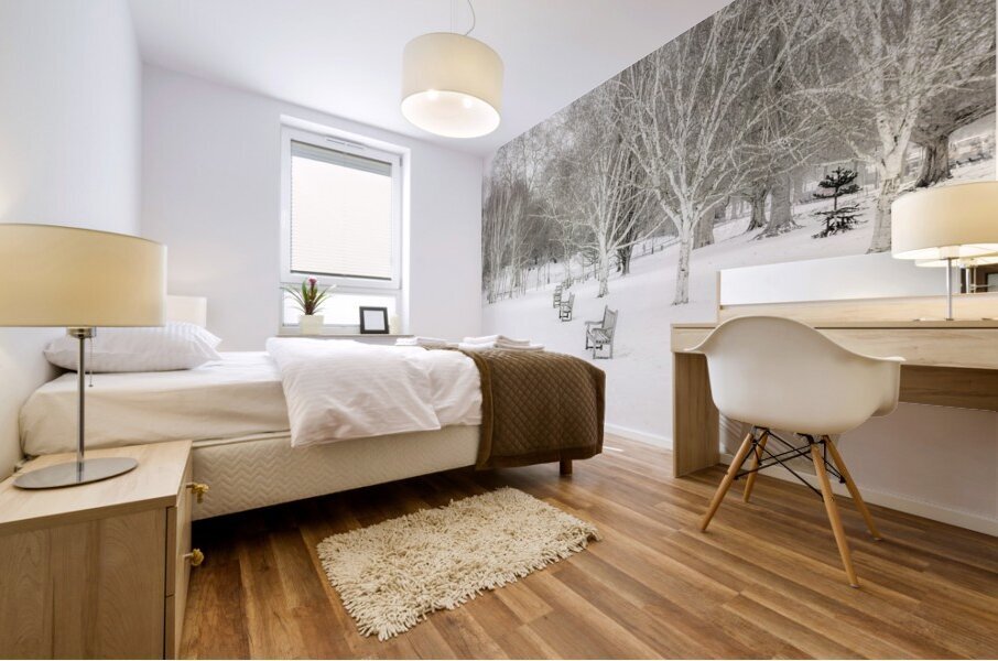 White Winter Mural print