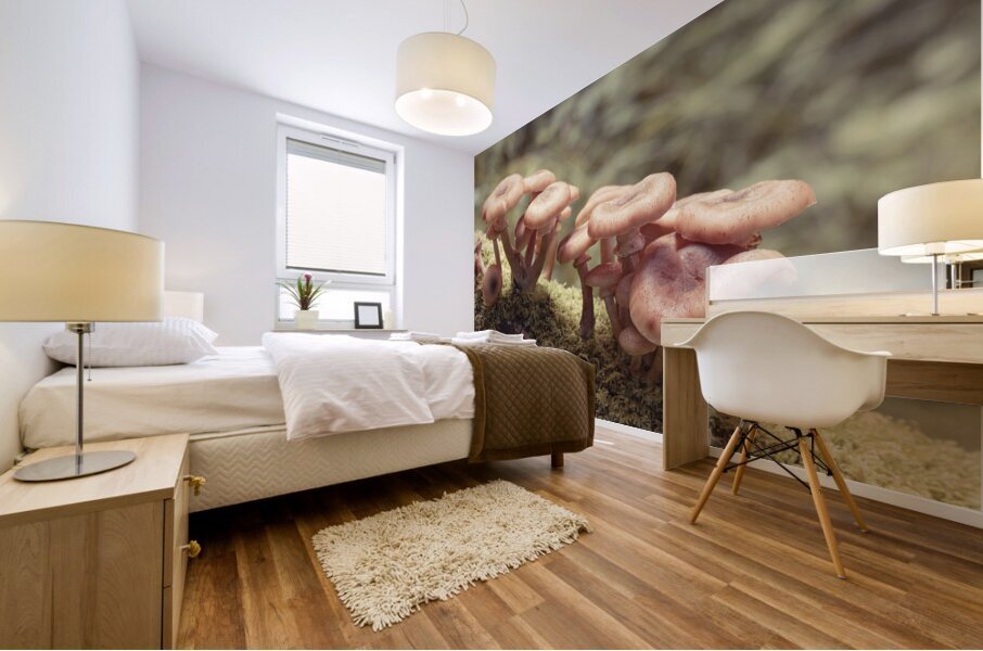 Mushrooms Mural print