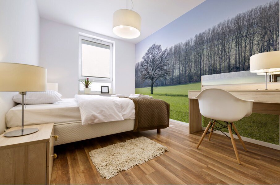 Trees on grass field Mural print