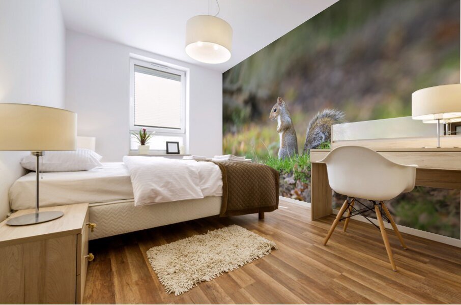 Whiskered Wanderer Mural print