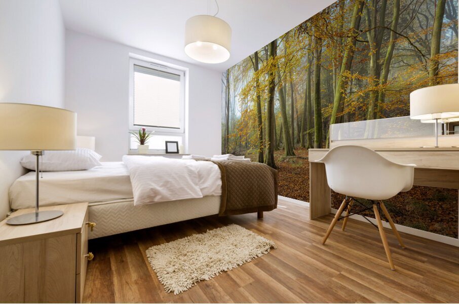 Autumn forest Mural print