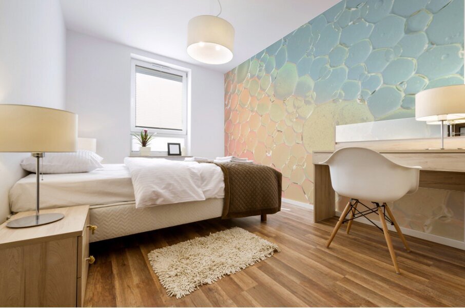 Rainbow Bubbles Mural print