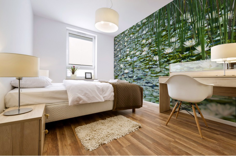 Water Lilies Mural print