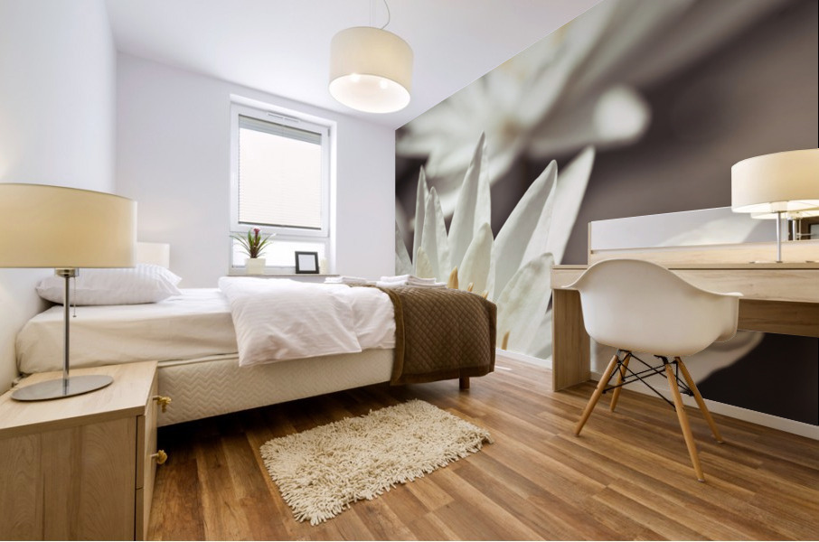 Water Lilies Mural print
