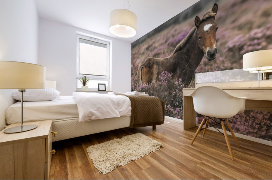 Wild Horses, New Forest Mural print