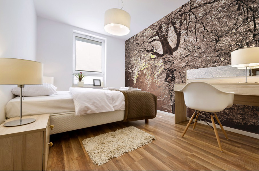 Autumn tree in sunlight Mural print