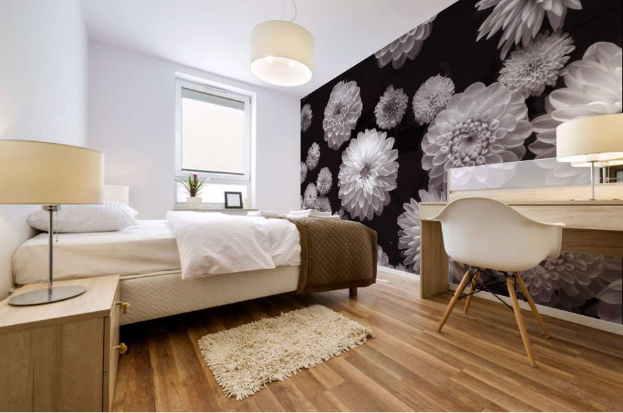 Dahlia Flowers, Full Frame Mural print