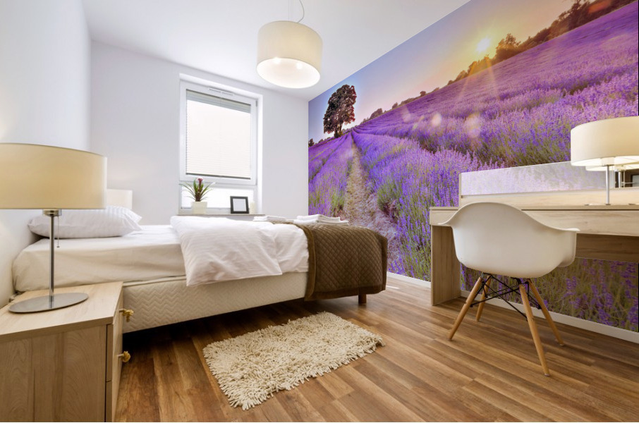 Lavender field at sunset Mural print