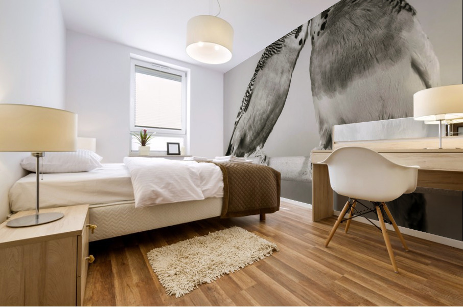Birds Mural print