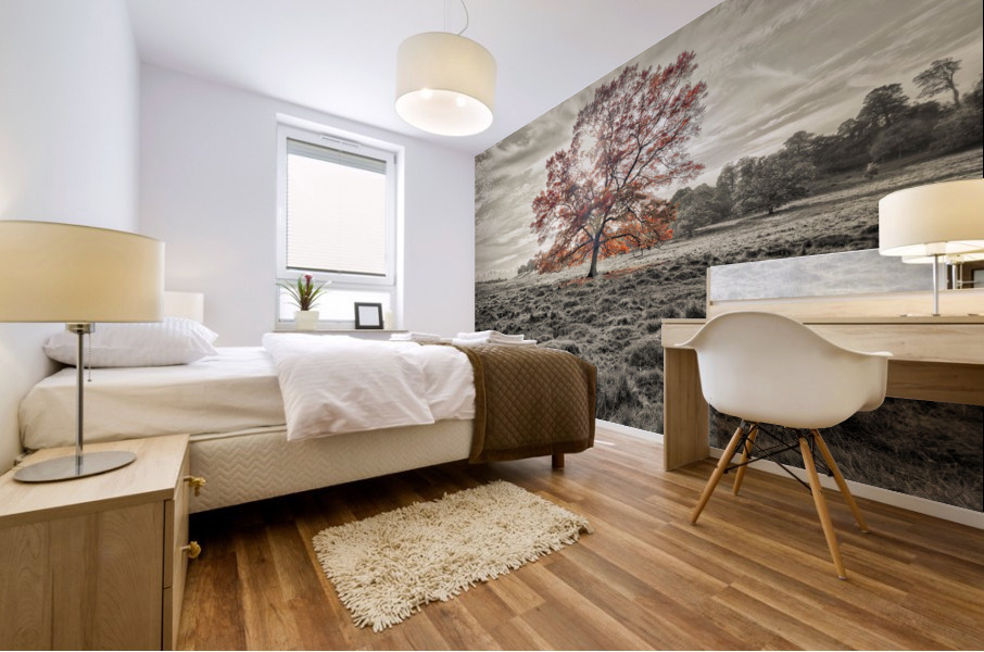 Single tree at autumn Mural print