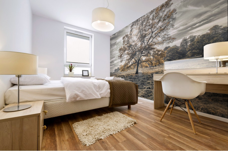 Single tree at autumn Mural print