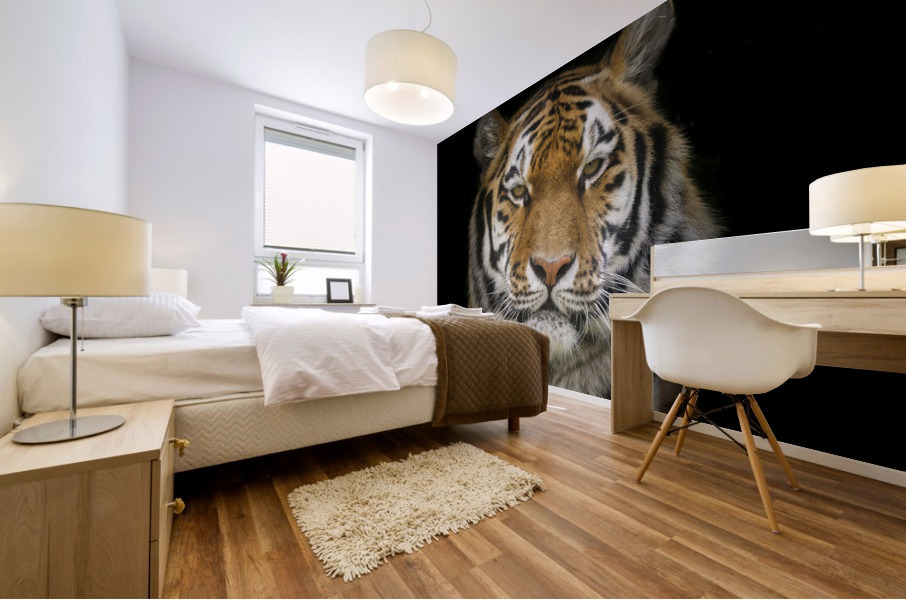 Tiger face Mural print